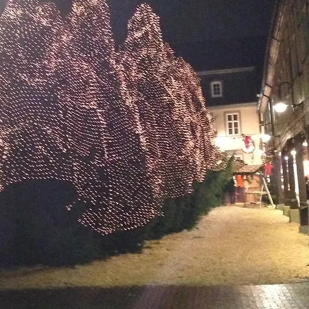 ホテル Hubertus Hof ゴスラー