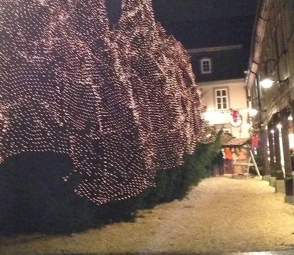 Hotel Hubertus Hof Goslar